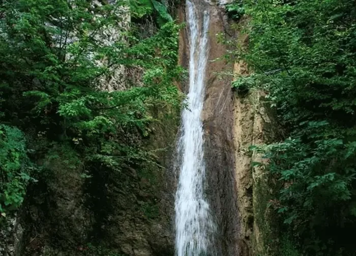 آبشار روستای زنگت سفلی نکا در میان درختان و صخره های خزه ای