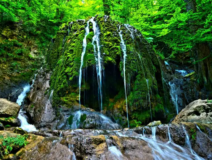 سقوط جریان آب از لابه لای صخره های خزه ای آبشار اسپه او
