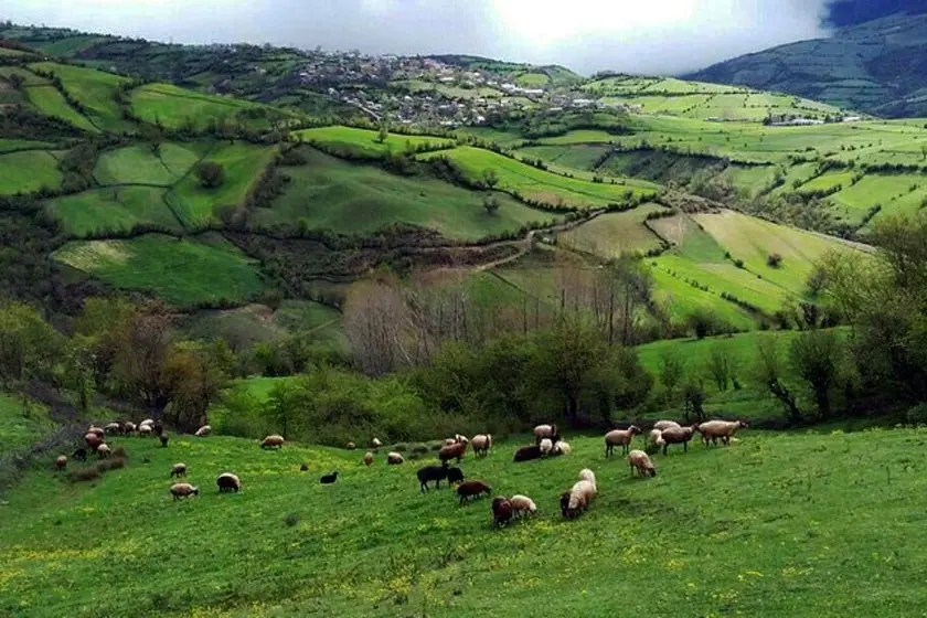 روستای کچپ محله 968568565868546854