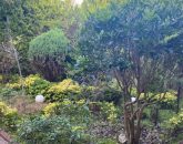 حیاط ویلا کد36 در جویبار 8689678967896789678