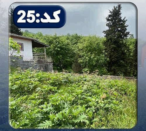 زمین کد25 در جویبار 45664563767896