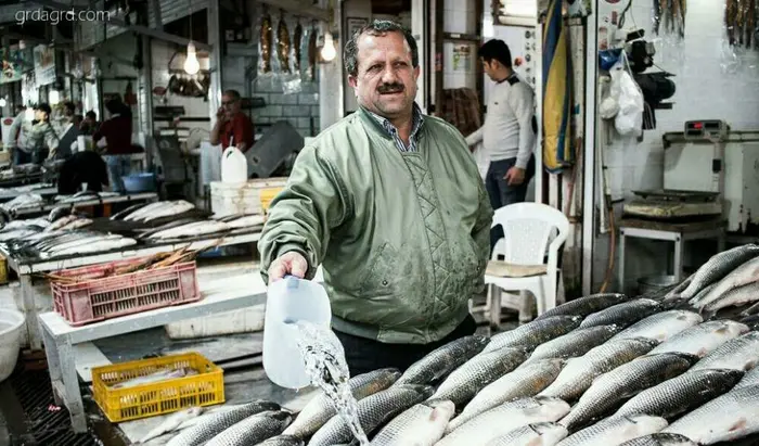 بازار ماهی فروشان 45551111