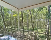 درختان باغ ویلا در خورشیدکلا 375862378562