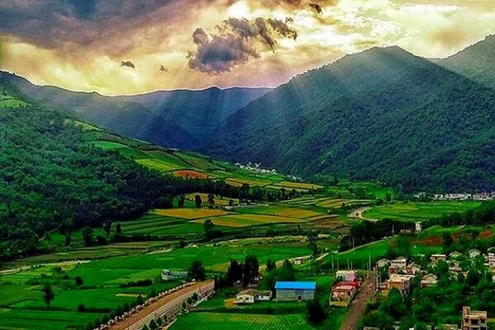 سرسبزی و تلالو نور خورشید در مازندران 524152415