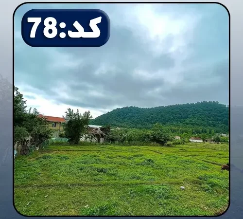 خانه های ویلایی و ویوی جنگلی اطراف زمین در خورشید کلا