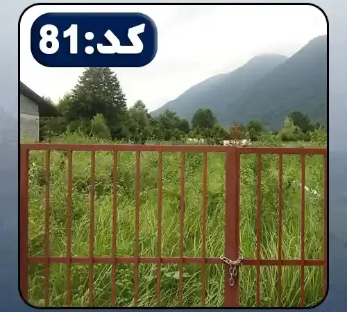 زمین سرسبز و درختان انبوه زمین باغی در طاهر آباد