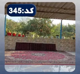 فرش و پشتی قرمز و گلدان های سرسبز تراس خانه روستایی در ساری