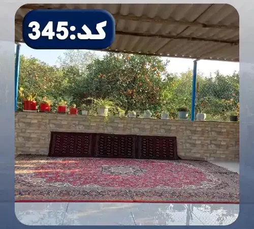 فرش و پشتی قرمز و گلدان های سرسبز تراس خانه روستایی در ساری