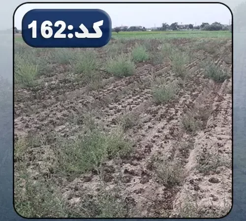 محوطه خاکی و سرسبز زمین در جویبار