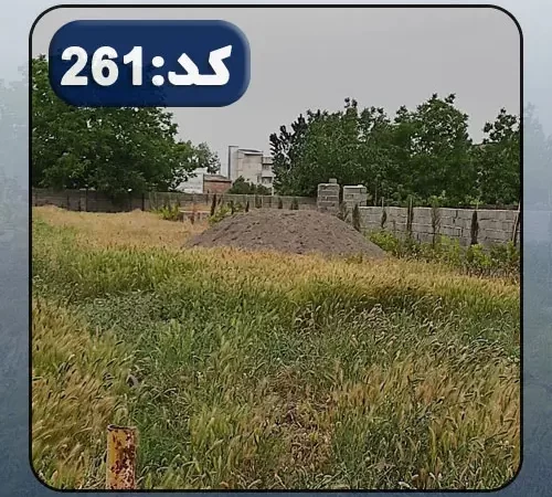 محوطه سرسبز و ویلاهای مسکونی در اطراف زمین شهرکی در خزر آباد