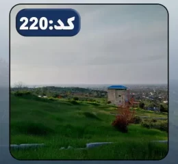 محوطه سرسبز و آپارتمان اطراف زمین مسکونی در ساری