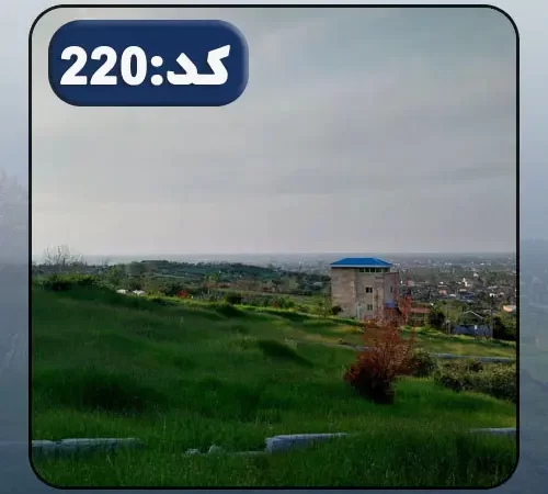محوطه سرسبز و آپارتمان اطراف زمین مسکونی در ساری