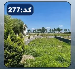 محوطه سرسبز و بلوک کشی شده زمین در طاهرآباد