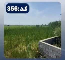 محوطه سرسبز و بلوک کشی شده زمین مسکونی در نکا