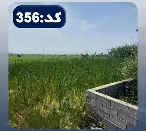 محوطه سرسبز و بلوک کشی شده زمین مسکونی در نکا