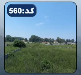 محوطه سرسبز و بلوک کشی شده زمین مسکونی در زاغمرز