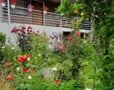 محوطه سرسبز و رنگی ویلا در ساری