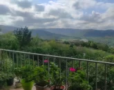 گلدان های کوچک و ویو رو به محوطه سرسبز تراس ویلا در قائم شهر