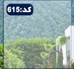 کوهستان سرسبز و خیابان کشی عالی زمین نصیر آباد 147899
