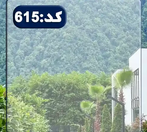 کوهستان سرسبز و خیابان کشی عالی زمین نصیر آباد 147899