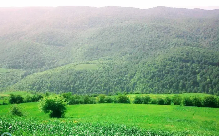 کوه ها در کنار مزارع سرسبز روستای اطرب در نکا 41564