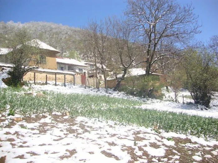 تصویری دلربا از پوشیده شدن زمین و خانه ها از برف در فصل زمستان روستای اسکارد 21654868