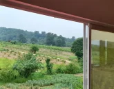 ویو ابدی رو به جنگل ویلا در زاغمرز 364872364