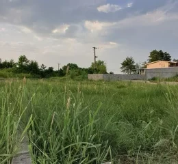 زمین مسکونی سنددار 275 متری در ساری 10534186486