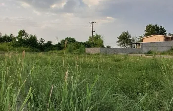 زمین مسکونی سنددار 275 متری در ساری 10534186486