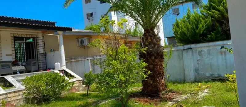 نمای بیرونی خانه کلنگی و محوطه سازی سرسبز و درخت نخل خانه در شمال 49569457