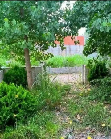 زمین با ویو رو به طبیعت وستای خزرآباد مازندران 147899