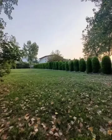 زمین مسکونی در زاغمرز 21752785