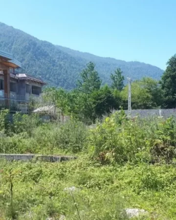 زمین سنددار در نکا 65165165