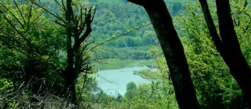 سد زمزم در میان درختان سرسبز 445684