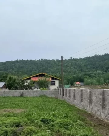 ویو زمین جنگلی در بافت خورشیدکلا 49684685