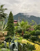 طبیعت زیبای اطراف ویلاباغ 480 متری در خورشید کلا 1568786765