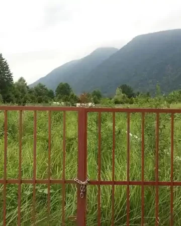 منطقه سرسبز و بلوک دار زمین باغی در طاهرآباد