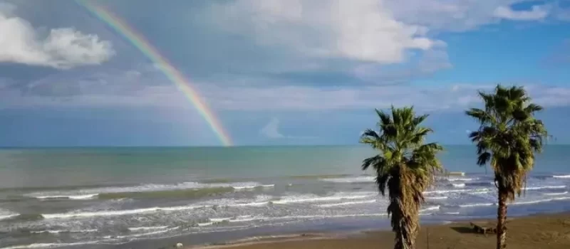 درخت نخل و رنگین کمان در ساحل فرح آباد 6563563