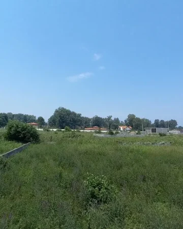 محوطه سرسبز زمین مسکونی در زاغمرز