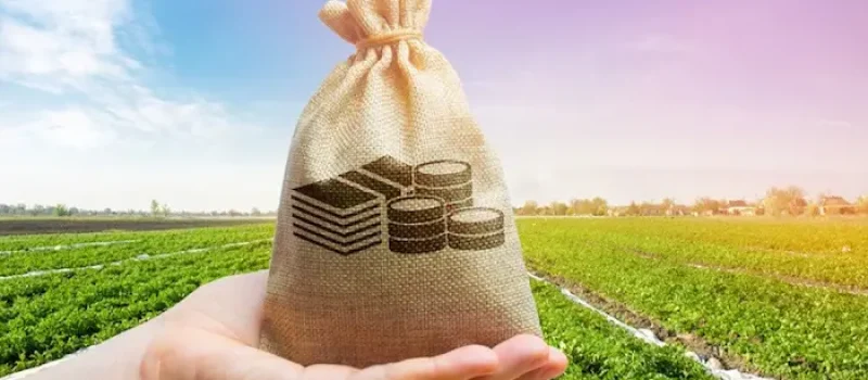 زمین مسکونی سرسبز و نکات کلاهبرداری خرید زمین در زاغمرز 4753778