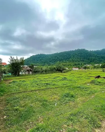 دیوار بتنی و حصارهای چوبی در اطراف زمین در خورشید کلا