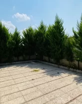 محوطه سنگ فرش شده و باغچه سرسبز محوطه ویلا در جویبار