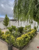 محوطه سنگ فرش شده و باغچه سرسبز ویلا در ساری