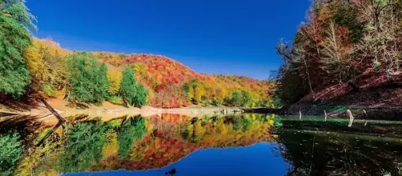 درختان رنگارنگ در اطراف دریاچه چورت 555231698547