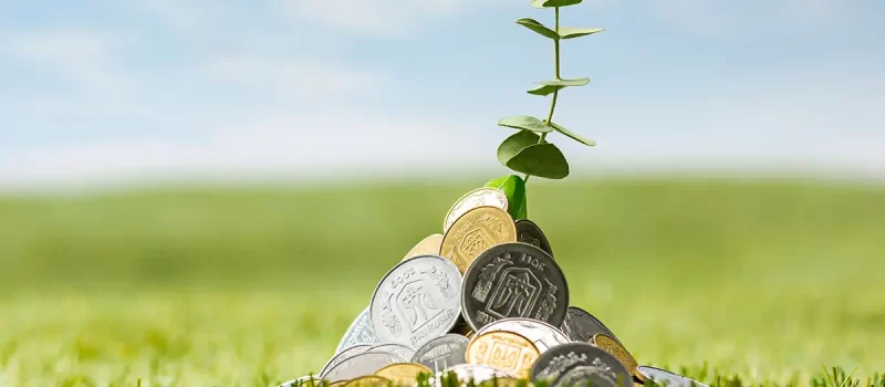 سرمایه گذاری با خرید زمین 52645968489