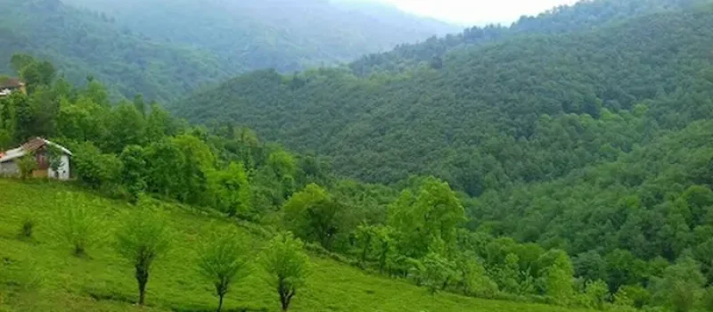 پوشش گیاهی سرسبز روستای آجند 5967461