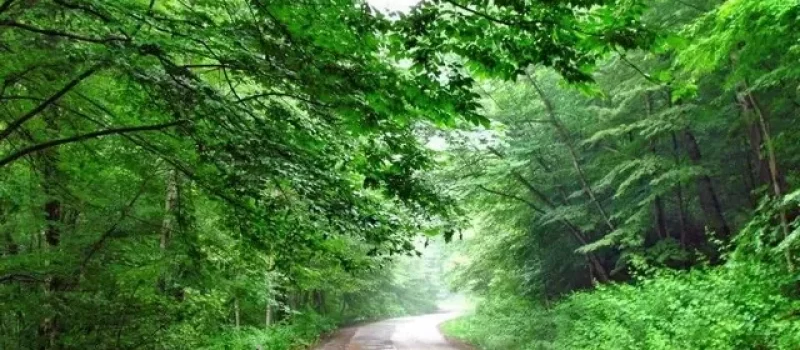 روستای آبچین 6464646846846