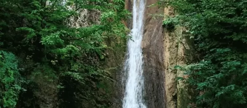 زنگت 6464646868667857