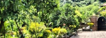 محوطه ویلا کد14 در خورشیدکلا 4867467896784967489678