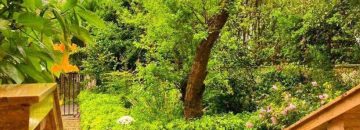 محوطه ویلا کد6 در نکا 3866867867868896